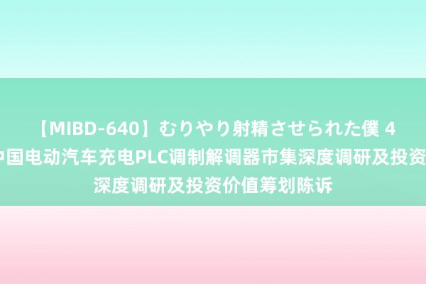 【MIBD-640】むりやり射精させられた僕 4時間 民众与中国电动汽车充电PLC调制解调器市集深度调研及投资价值筹划陈诉