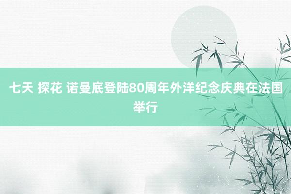 七天 探花 诺曼底登陆80周年外洋纪念庆典在法国举行