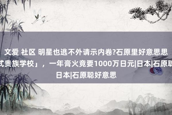 文爱 社区 明星也逃不外请示内卷?石原里好意思思报「英式贵族学校」，一年膏火竟要1000万日元|日本|石原聪好意思