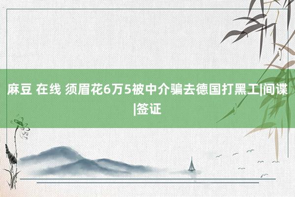 麻豆 在线 须眉花6万5被中介骗去德国打黑工|间谍|签证