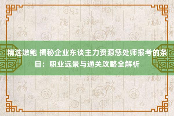 精选嫩鲍 揭秘企业东谈主力资源惩处师报考的条目：职业远景与通关攻略全解析