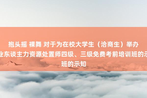 抱头摇 裸舞 对于为在校大学生（洽商生）举办企业东谈主力资源处置师四级、三级免费考前培训班的示知