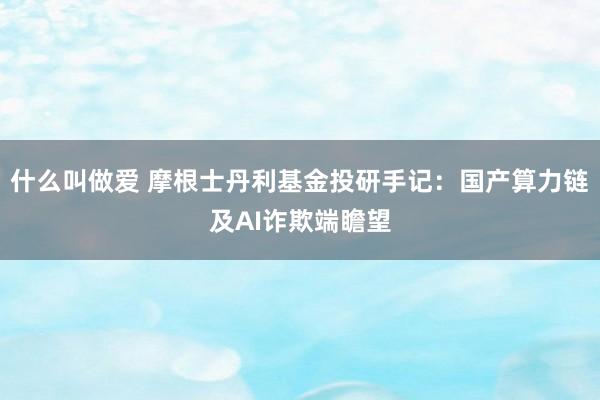 什么叫做爱 摩根士丹利基金投研手记：国产算力链及AI诈欺端瞻望