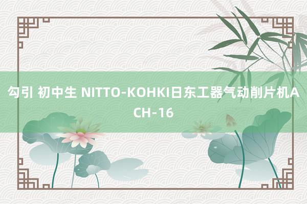 勾引 初中生 NITTO-KOHKI日东工器气动削片机ACH-16