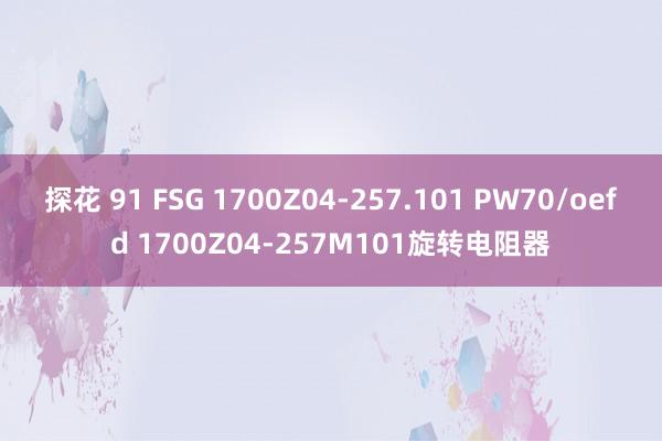 探花 91 FSG 1700Z04-257.101 PW70/oefd 1700Z04-257M101旋转电阻器