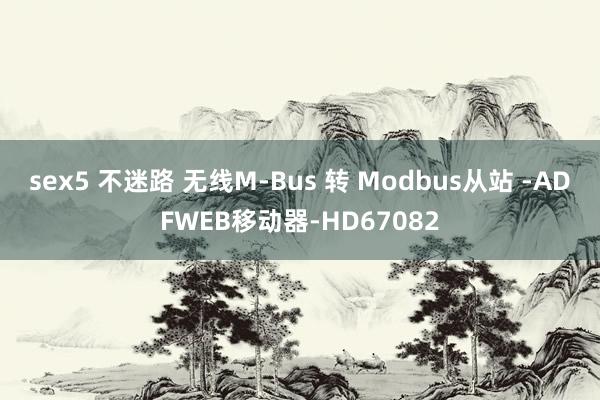 sex5 不迷路 无线M-Bus 转 Modbus从站 -ADFWEB移动器-HD67082